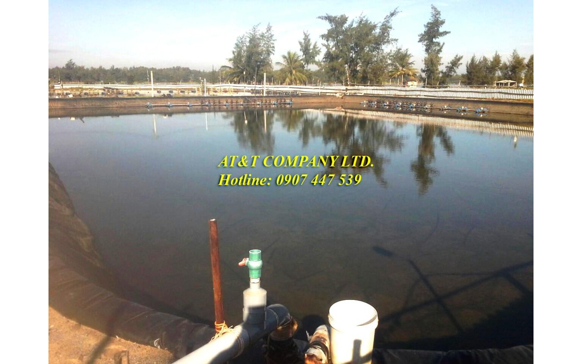 Nu&ocirc;i t&ocirc;m l&oacute;t bạt tr&ecirc;n c&aacute;t